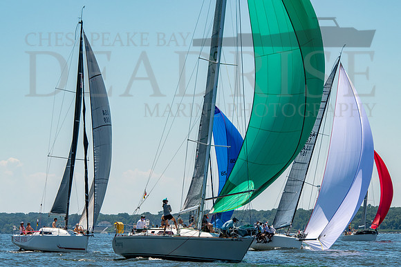 DEADRISE MARINE PHOTO-BYCA RACE TO BALTIMORE-5045