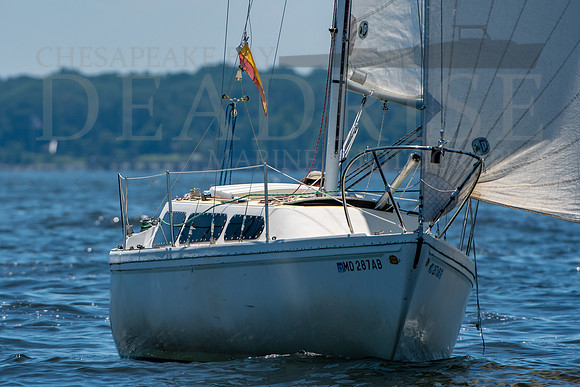 DEADRISE MARINE PHOTO-BYCA RACE TO BALTIMORE-4616