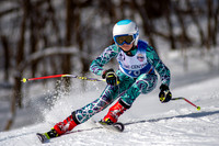 Skiing Portfolio