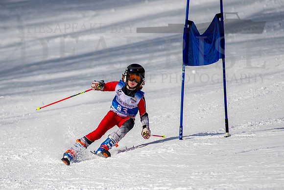 Liberty Mountain Ski Race Boys U10-31