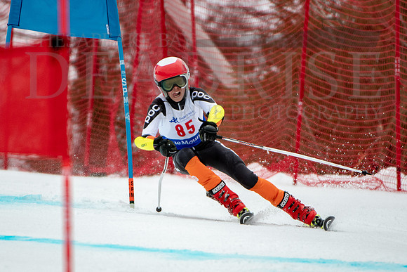 Blue Mountain PARA Ski Championship Boys U16 Race 2-14